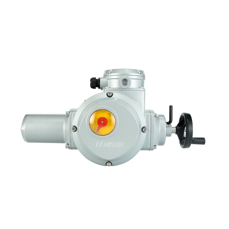 Multi-turn electric actuator EMD, basic, 50–900 N·m