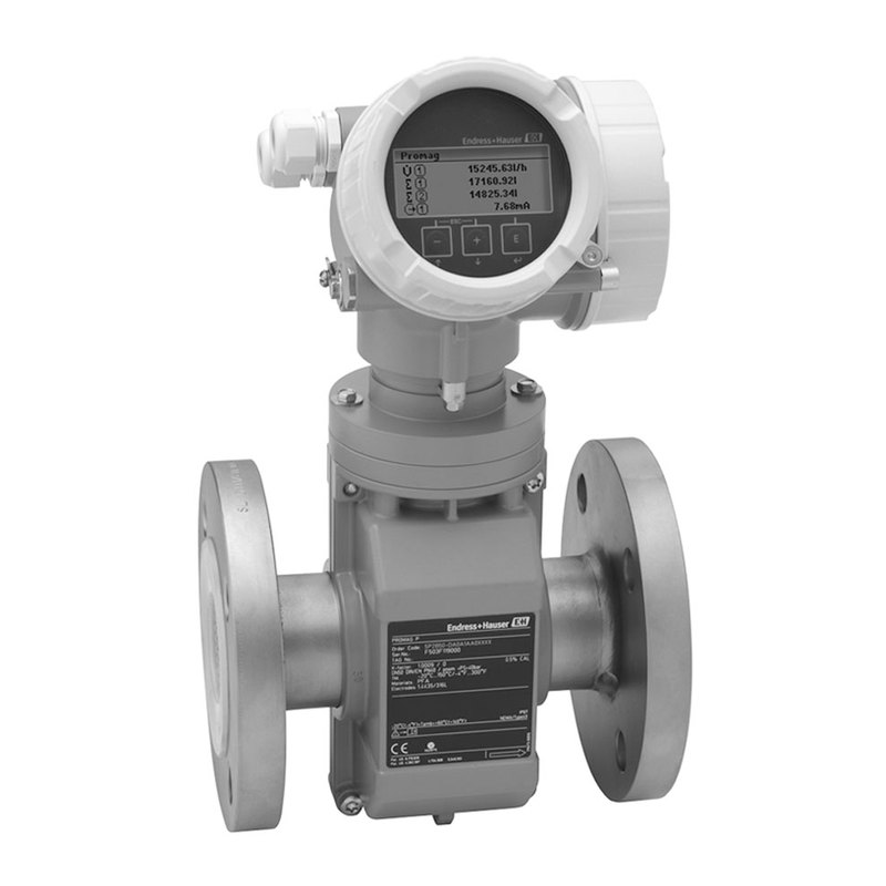 Endress+Hauser Proline Promag P 200 two-wire loop-powered electromagnetic flow meter, DN 15–200, PTFE/PFA, HART/PA/FF, SIL